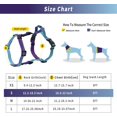 thumbnail image 3 of YIXIGGC Small Dog Harness and Leash Set, No Pull Dog Harness Adjustable Reflective, Dog Halter Harnesses Comfort Padded Handle, Pet Harness for Training Outdoor Walking（Gsky-S DYF329-2235, 3 of 7