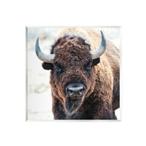 Stupell Industries American Bison Photography Animals & Insects Photography Unframed Art Print Wall Art, 12 x 12