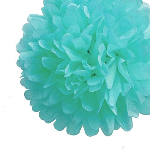 Quasimoon EZ-FLUFF 16' Arctic Spa Blue Tissue Paper Pom Poms Flowers Balls, Hanging Decorations (4 Pack) by PaperLanternStore
