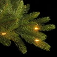 thumbnail image 4 of National Tree Company Pre-Lit Feel Real® Artificial Pencil Slim Christmas Tree, Grande Fir, Green, Clear Lights, Includes Stand, 6.5 Feet, 4 of 4