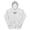 Ash, variant on OG Logo Womens Hoodie