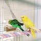 thumbnail image 5 of Uxcell 1-Pack Posaderos de Cuerda para Jaulas de Aves, 31.5 pulgadas de Longitud, Posadero de Cuerda Flexible con Agarre Cómodo para Aves, Plataforma de Molienda para Picos y Patas [Rosa Púrpura], 5 of 7