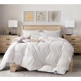 thumbnail image 1 of Royal Elite All Seasons Hungarian White Goose down Duvet, 1 of 5