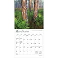 thumbnail image 3 of National Parks | 2026 7x14" (Hanging) Monthly Mini Wall Calendar | Plato, 3 of 9