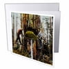 3dRose Vintage Lumberjacks Felling Large Oak Vancouver Canada Hand Colored - Greeting Cards, 6 by 6-inches, set of 6