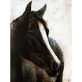 thumbnail image 3 of Drotar, Rikki 12x14 Black Modern Framed Museum Art Print Titled - Brown Stallion, 3 of 5