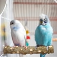 thumbnail image 3 of Shisuyan 4 Pcs Bird Perches For Cage Wood Bird Perch Stand Toy Parrot Perch With Swing Bird Cage Accessories For Parakeets Cockatiels Lovebirds, 3 of 8
