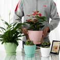 thumbnail image 4 of Macetas Macetas coloridas y lindas de resina con orificios de drenaje y bandejas Suministros de jardinería Plantas suculentas Flores Plantas verdes Jardineras, 4 of 7