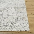 thumbnail image 2 of BoutiqueRugs Aolani Southwestern Area Rug - Cream, Charcoal, Ivory - 2' x 2'11", 2 of 8