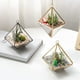 thumbnail image 4 of Piedras decorativas para astillas, cristal T4U, 900 g, fluorita, 4 of 9
