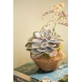 thumbnail image 2 of Millet, Karyn 11x14 Black Ornate Wood Framed with Double Matting Museum Art Print Titled - Small Succulent, 2 of 4