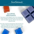 thumbnail image 4 of Cubes de cire parfumée ScentSationals - Séduisante, 4 of 4