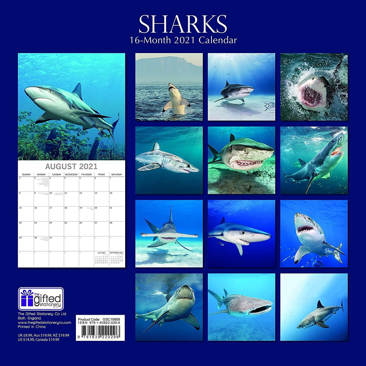 DateWorks Sharks 2021 Wall Calendar 12" x 12" 