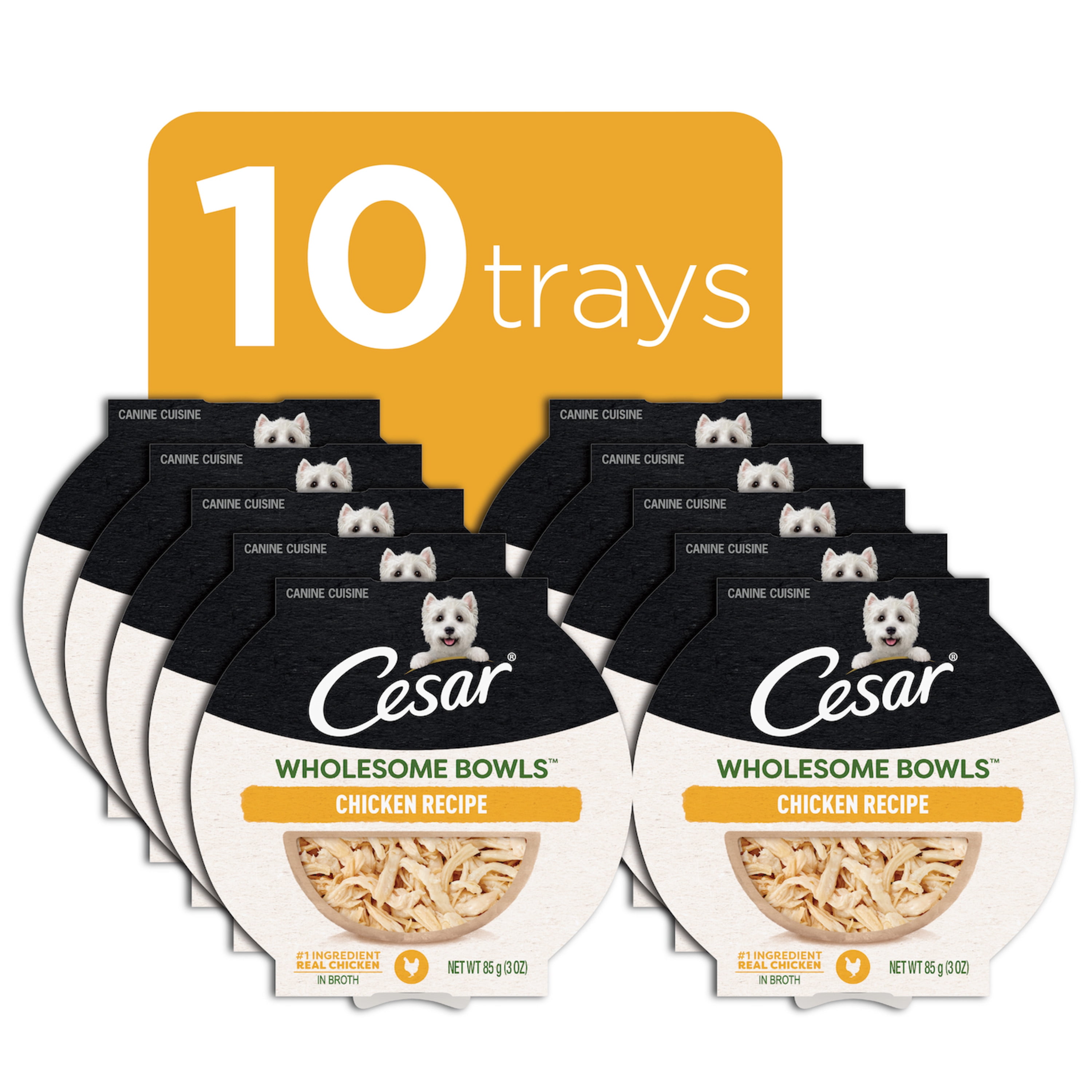 (12 pack) Cesar Wholesome Bowls Chicken Recipe Broth Wet Dog Food, 3 Oz Bowl