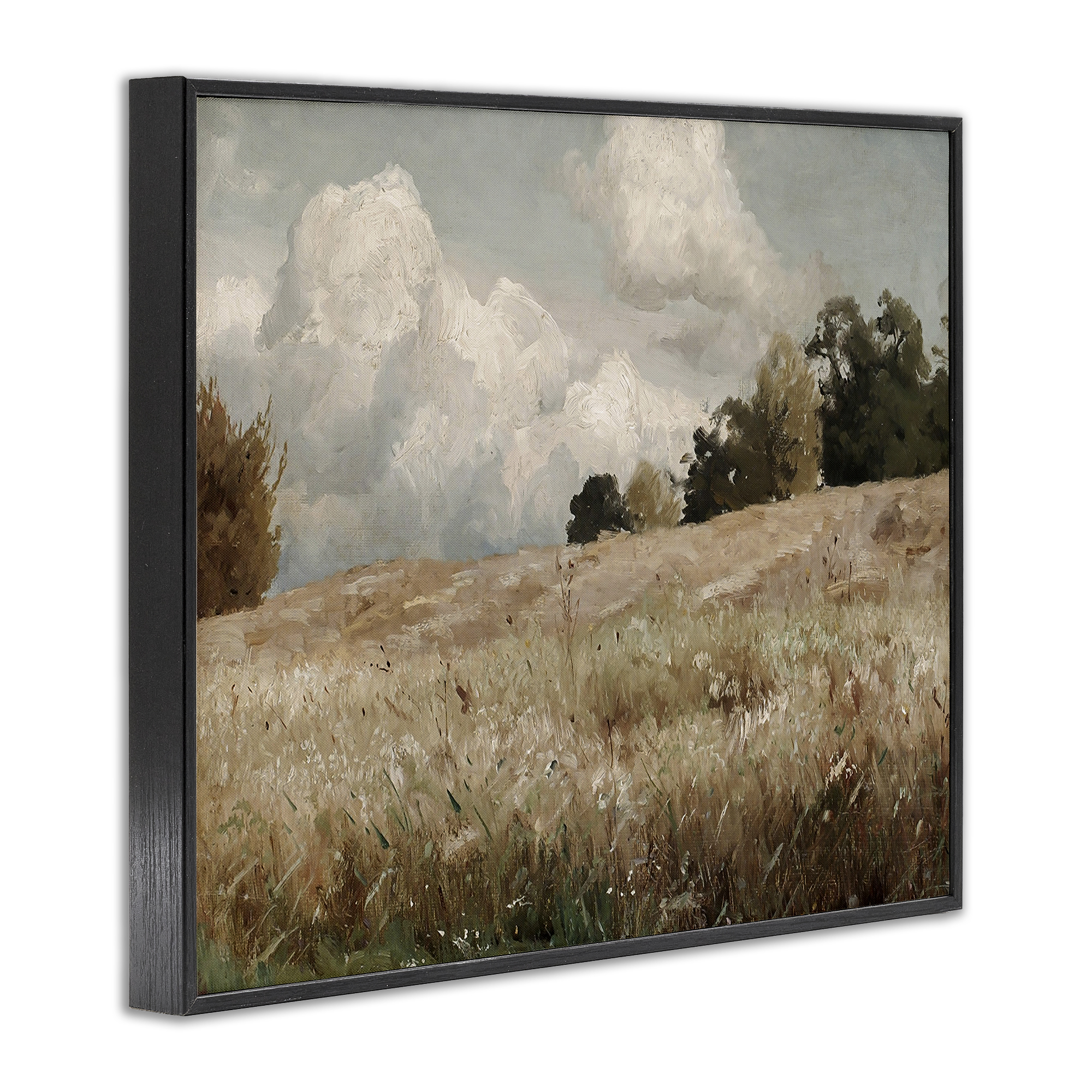 Classic Cloudy Field Landscape Black Framed Giclee Art, 14 x 11