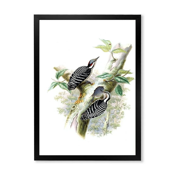 Designart 'Ancient Birds In The Wild V' Traditional Framed Art Print