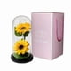 thumbnail image 5 of Sunflower Gifts for Women, Artificial Sunflowers In Glass Dome with LED Strip,Birthday,Mother's Day,Valentine's Day Gift, 5 of 5