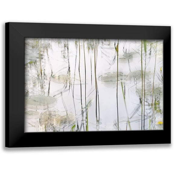 Talen, Nel 14x11 Black Modern Framed Museum Art Print Titled - Lily Leaves