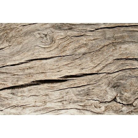 Background Groove Grain Wood Panel Timber Texture-20 Inch By 30 Inch Laminated Poster With Bright Colors And Vivid Imagery-Fits Perfectly In Many Attractive Frames