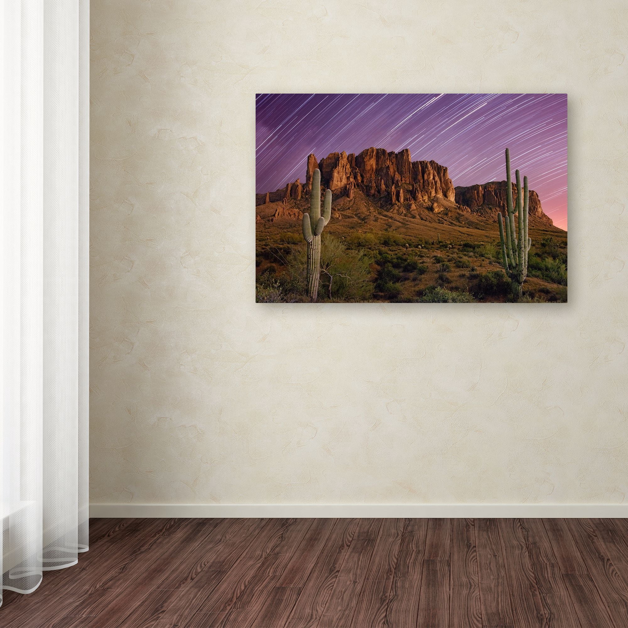 Trademark Fine Art 'Lost Dutchman Star Trails' Canvas Art by Mike Jones Photo