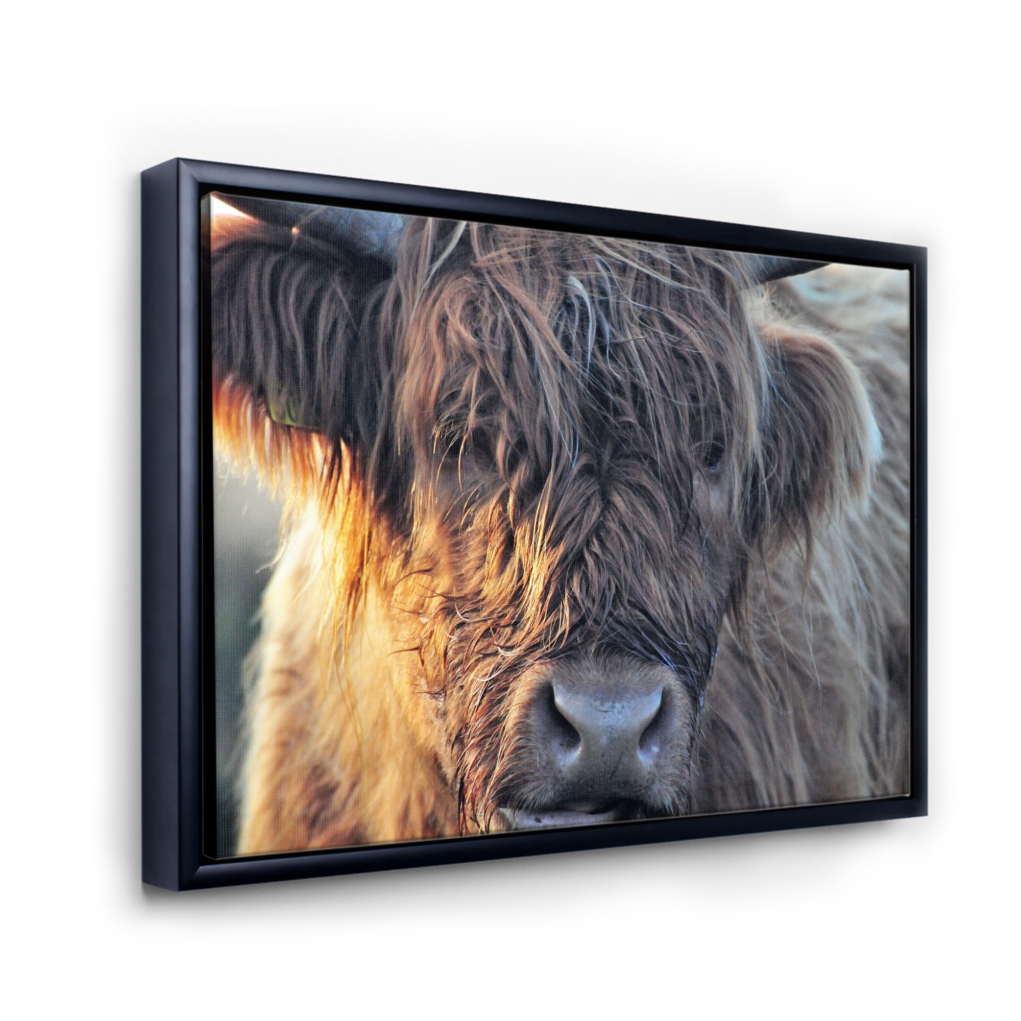 Close Up Of Scottish Cow On Moorland III 20 in x 12 in Framed Painting Canvas Art Print, by Designart
