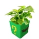 thumbnail image 1 of Maceta Joker 3D Plantas JokeFlowy 1 Pza 14x14x14cm Verde Amarillo y Negro No incluye Planta., 1 of 2