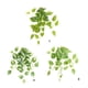 thumbnail image 5 of Hojas falsas enredaderas plantas colgantes artificiales Matsuzay para interior y exterior, 5 of 6