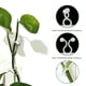 thumbnail image 3 of Planta Clips de Pared 50Pc Verde Endido Dispositivo de Fijación Planta Línea de Pared sin Marcar Pegatina Dispositivo de Fijación de la Pared de la Flor Pegatinas, 3 of 7