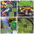 thumbnail image 2 of LOVEVER  Aquariums Floating Plant Rings Aquaponic Decorations Square Round Floating Plant Holder Keep Floating Plant in Place, 2 of 13
