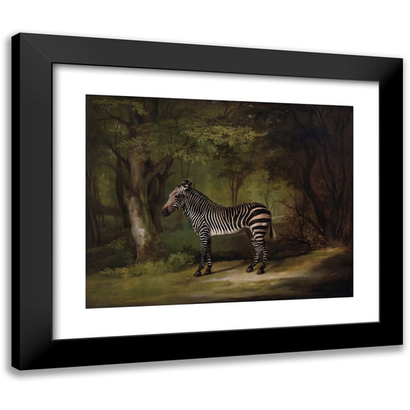 George Stubbs 14x12 Black Modern Framed Museum Art Print Titled - Zebra (1763)