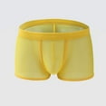 thumbnail image 2 of Men Mesh Boxer Briefs Thin Low Waist Transparent Underwear Pouch Panties, 2 of 9