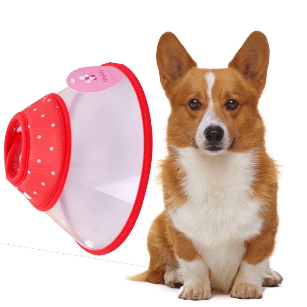 dog cone walmart canada