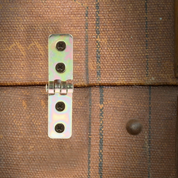 Worgeous 12Pcs Multi Colorful Iron Hinges for Small Cabinet Doors