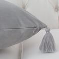 thumbnail image 4 of 2 Pcs Velvet Throw Pillow Cover with Tassel, Square Throw Pillow Case Cushion Cover, 4 of 8