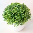 thumbnail image 5 of Zhaomeidaxi Plants Artificial 32 mesh bamboo grass Greenery in Pots Faux Potted Herbs Small Houseplants 5.51"Tall for Indoor Greenery Tabletop Décor Centerpiece wholesale bulk, 5 of 8