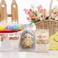 thumbnail image 3 of Beautynvta Easter Pocket Hug Gift, Acrylic Colorful Egg Animal Figurines with Inspirational Message Card and Organza Bags, for Employee Appreciation Coworker Friend Family Gifts, 3 of 6