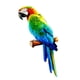 thumbnail image 3 of Escultura de loros artificiales Colco Estatua de loro estilo c, 3 of 8
