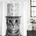 thumbnail image 2 of Cute Cat Bathroom Shower Curtains with 12 Hooks Polyester Waterproof Shower Curtain for Stalls and Bathtubs Funny Animal Toilet Paper Abstract Art Decorative Bathroom Privacy Curtain 72x72 Inches, 2 of 9