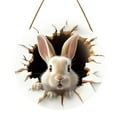 thumbnail image 2 of Oliegs Heated Blanket Easter Bunny Rabbit Hole Door Sign Rustic Wooden Easter Decor For Festive Home & Party Entrance 30x30cm 2 Chocolate, 2 of 5