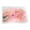 Light Pink, variant on Lubelski 1 Box Preserved Flower Beautiful Bright-colored Dried Flower Stylish Visual Effect Dried Flower Display for Home