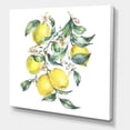 thumbnail image 3 of Designart ' Branch of Leaves and Yellow Lemons I ' Tropical Canvas Wall Art Print, 3 of 4