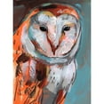 thumbnail image 3 of Parker, Jennifer Paxton 15x18 Black Modern Framed Museum Art Print Titled - Optic Owl I, 3 of 5