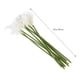 thumbnail image 3 of ULTNICE 10pcs Elegant Lifelike Real Touch Artificial PU Calla Lily Flower Bouquets Bridal Wedding Flower Bouquets (White), 3 of 4