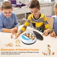 thumbnail image 5 of Yescom 5W LED Egg Candler Tester White Light for Incubator Brooder Chicken Hen Quail Poultry Candling Yescom Modern, 5 of 5