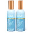 thumbnail image 1 of Room Spray Bath and Body Works, té blanco y salvia, 42,5 g x 2, 1 of 2