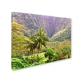 thumbnail image 2 of Trademark Fine Art 'Waipio Valley' Canvas Art by Mike Jones Photo, 2 of 3