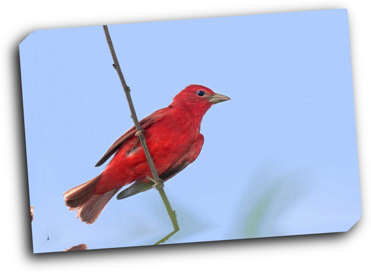 Wildlife Collectibles Book Marker Scarlet Tanager 7" x 2" Beautiful Colors 