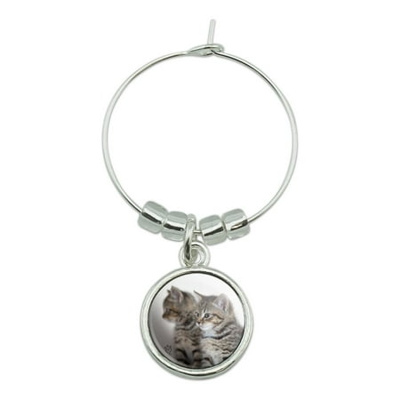 

Domestic Shorthair Cats Mirror Image Wine Glass Charm Drink Marker