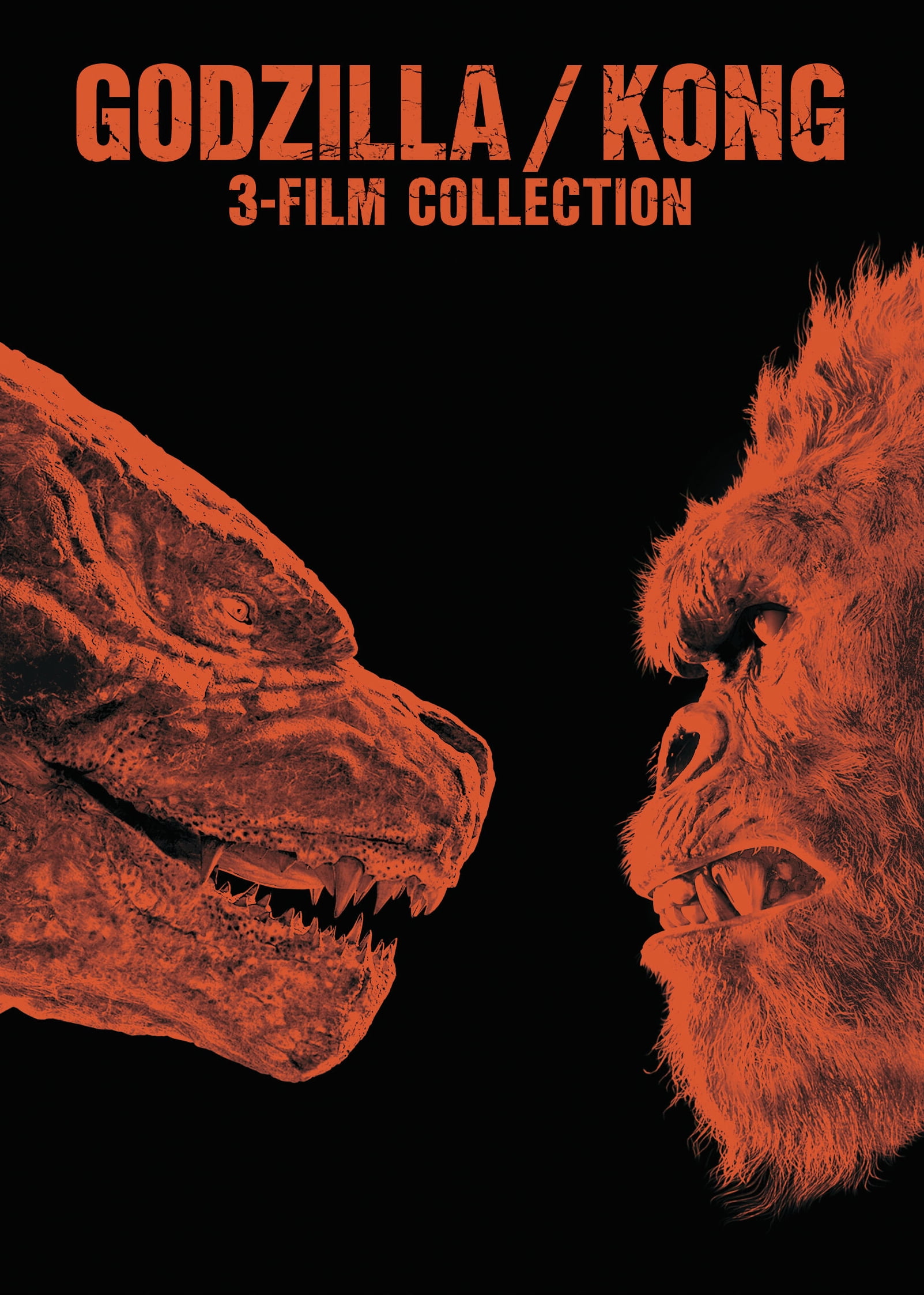 rolled 1998 double-sided original movie poster international Godzilla 