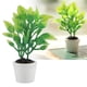 thumbnail image 5 of Planta verde en miniatura, Planta verde en miniatura artificial Planta verde artificial Planta en maceta artificial Uso conveniente, 5 of 8